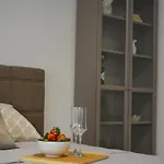 Curic Apartment