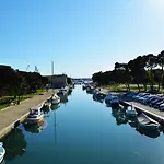 Curic * تروغير